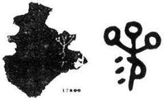 oracle bone inscription of ginseng
