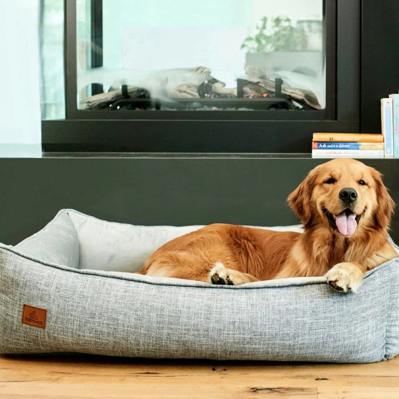 The Buddy Bed - Veterinarian Approved Dog Bed - Toby  Ace product image