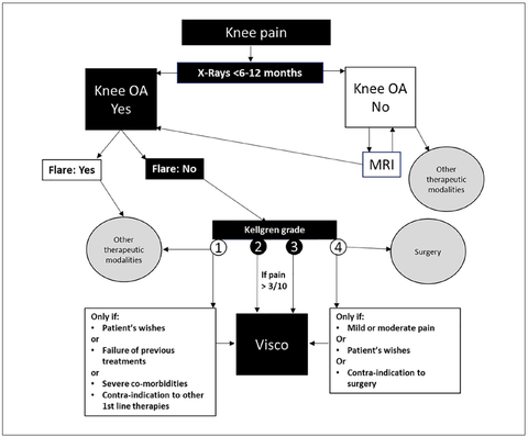 EUROVISCO Knee Pain Treatment Algorithm Flowchart