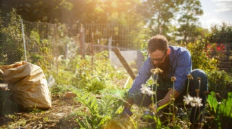 Prairie Planting 101: How to Create Your Very Own Prairie Garden