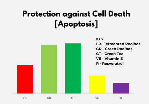 Protection against Cell Death - Apoptosis