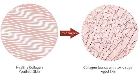 Collagen glycation and Advanced Glycation End Products