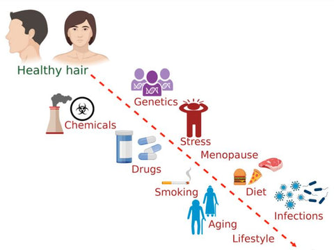 Factors affecting hair loss