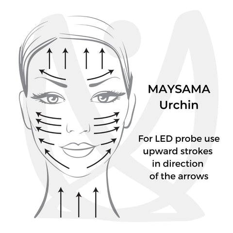 Maysama Urchin