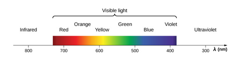 Light Spectrum red and near infrared light