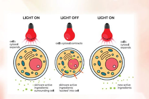 Action of Pulsed LED Light