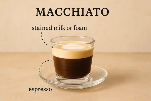 Macchiato Infographic