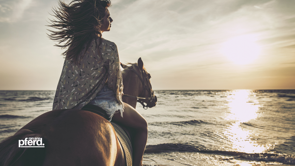 Ausritt mit Pferden Blogbeitrag. Jetzt alles über Ausreiten und Ausritt mit Deinem Pferd am Strand für Deinen Reitsport online erfahren ran-ans-pferd.de