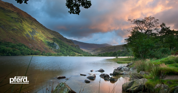 Carneddau berge ran-ans-pferd.de