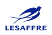 saf instant logo