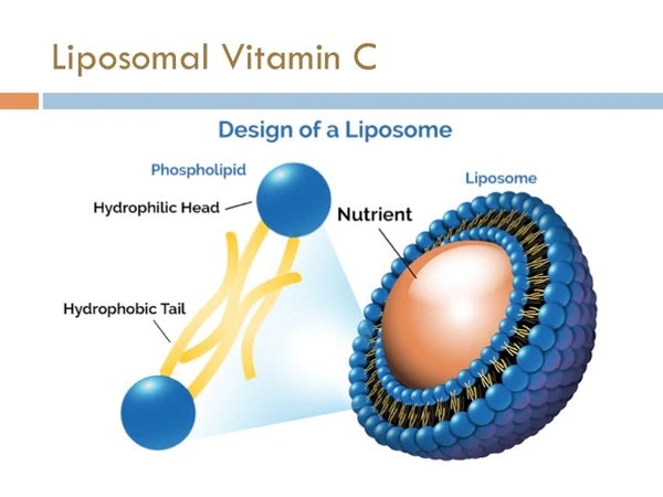vegielight liposomal vitamin c