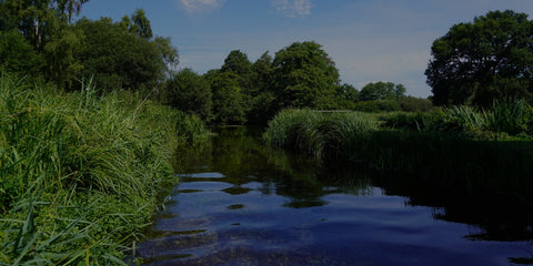 Anglers Against Pollution view of a stream