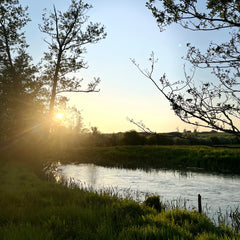 A river with fields in the background at sunset
