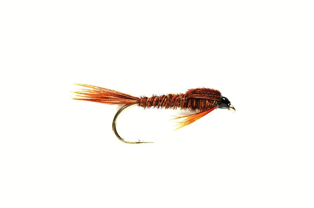 Pheasant Tail Nymph