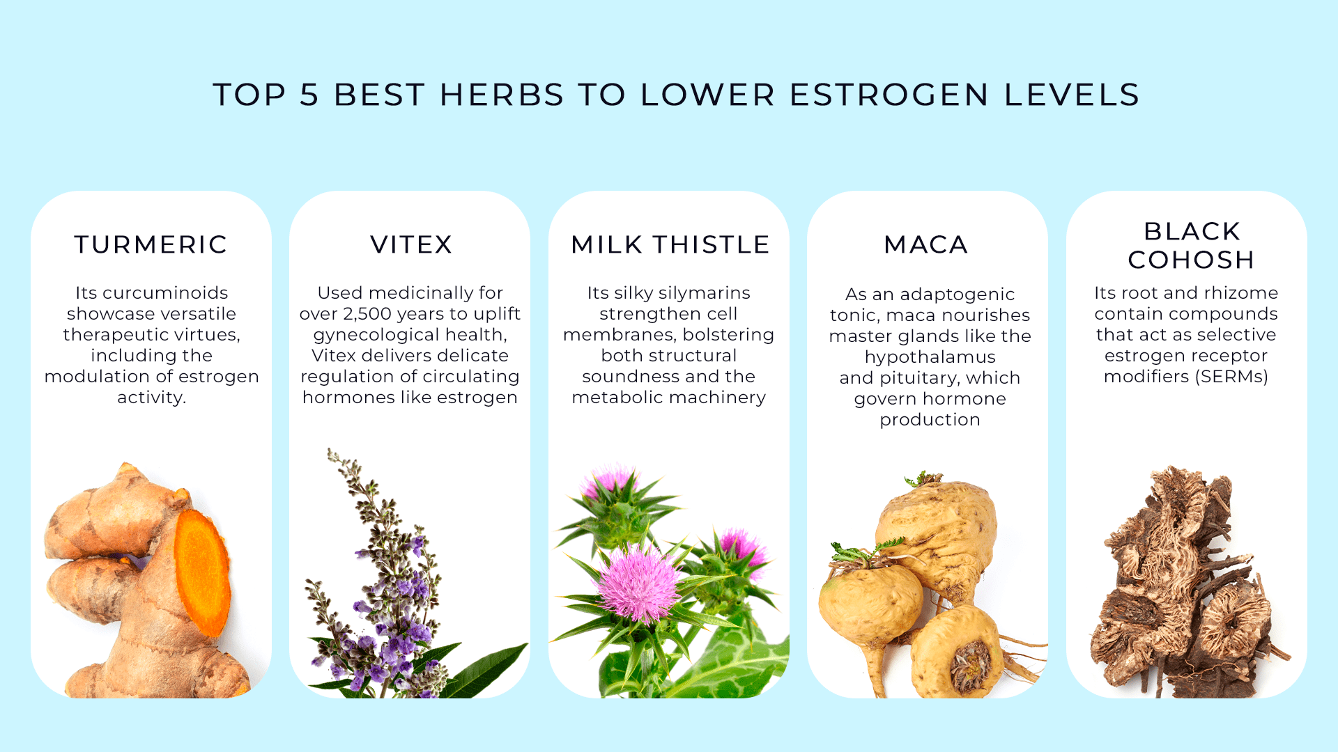 herbs for lower estrogen