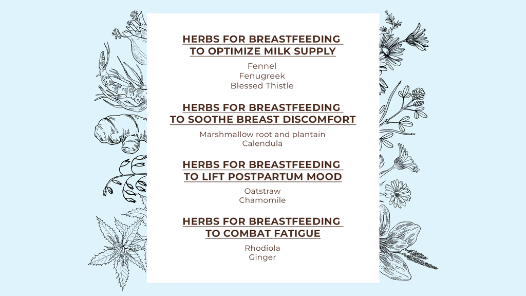 Herbs for Breastfeeding