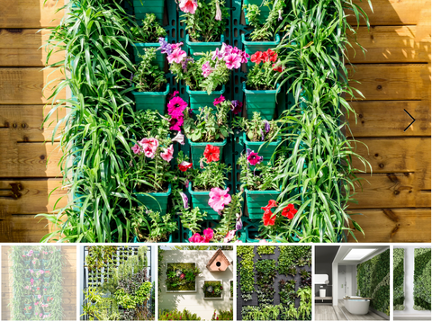 how to make an indoor wall garden