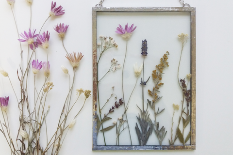 Give wilting blooms new life by turning them into the prettiest pressed  flower wall art