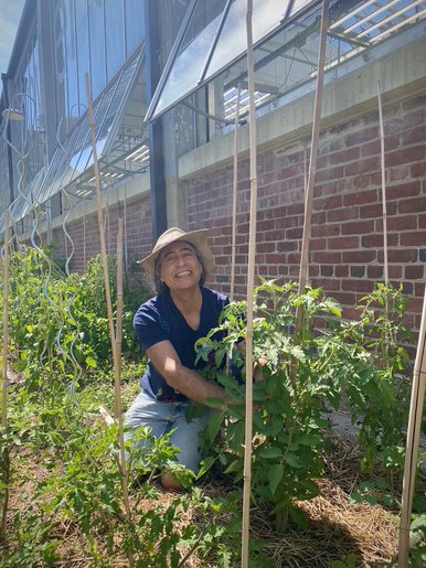 The Stop uses FoodCycler to reuse food waste