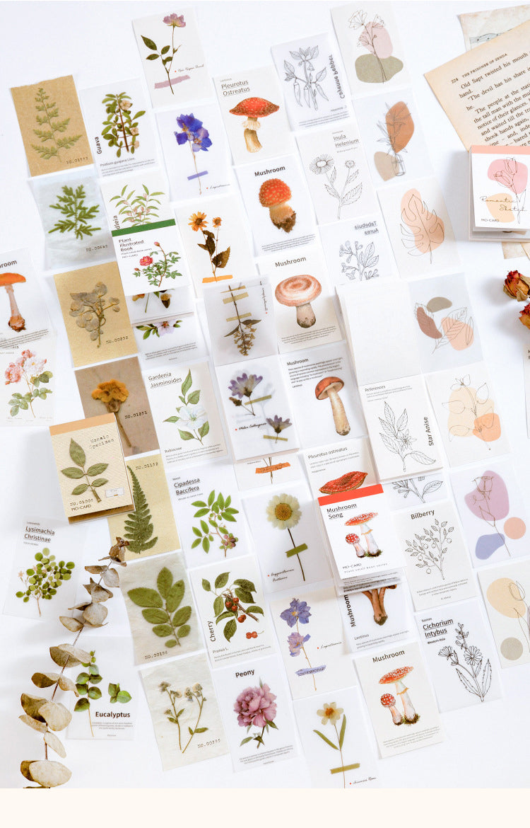 1Simple Botanical Decorative Note Paper