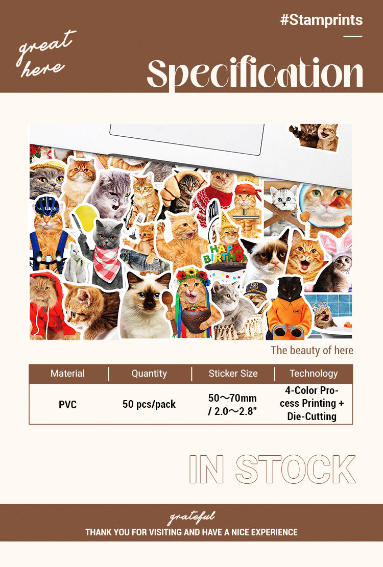 2Adorable Pet Collection Realistic Cat Expression Stickers