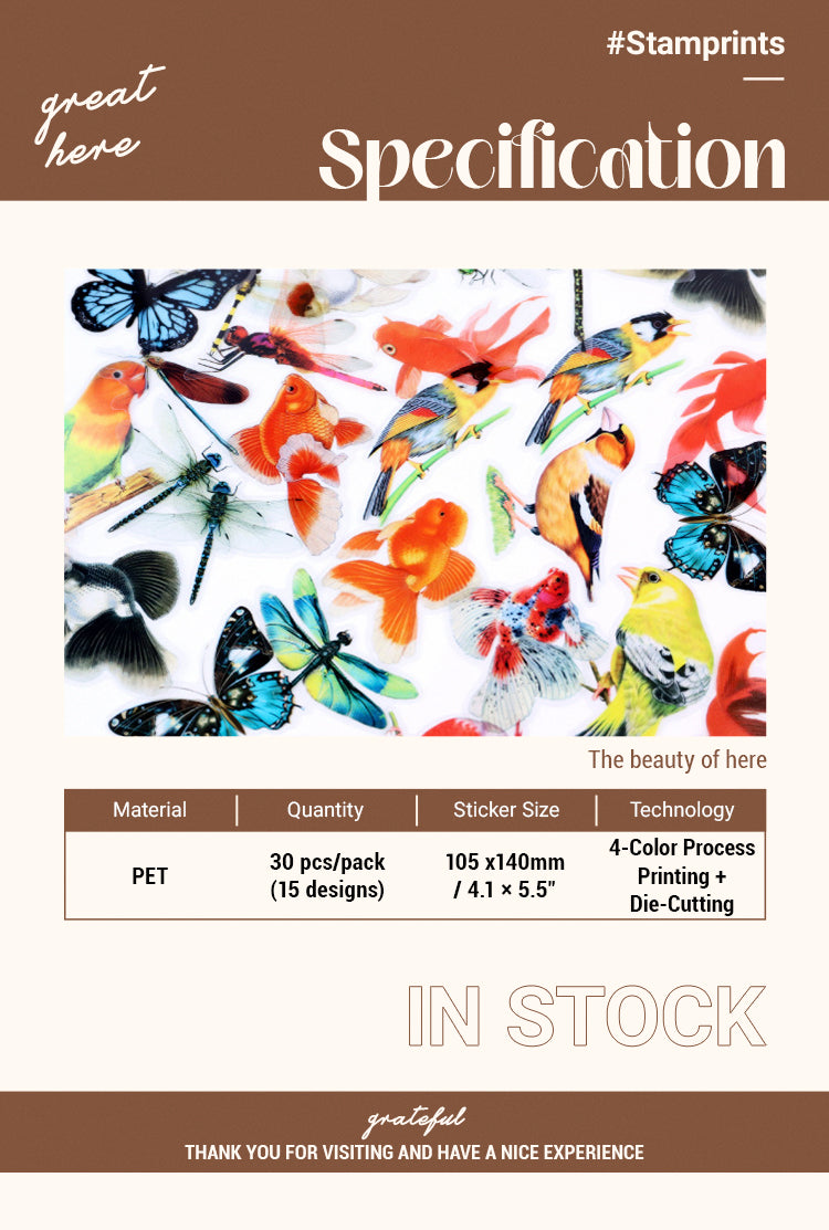 2Creative Butterfly Dragonfly Decorative PET Stickers