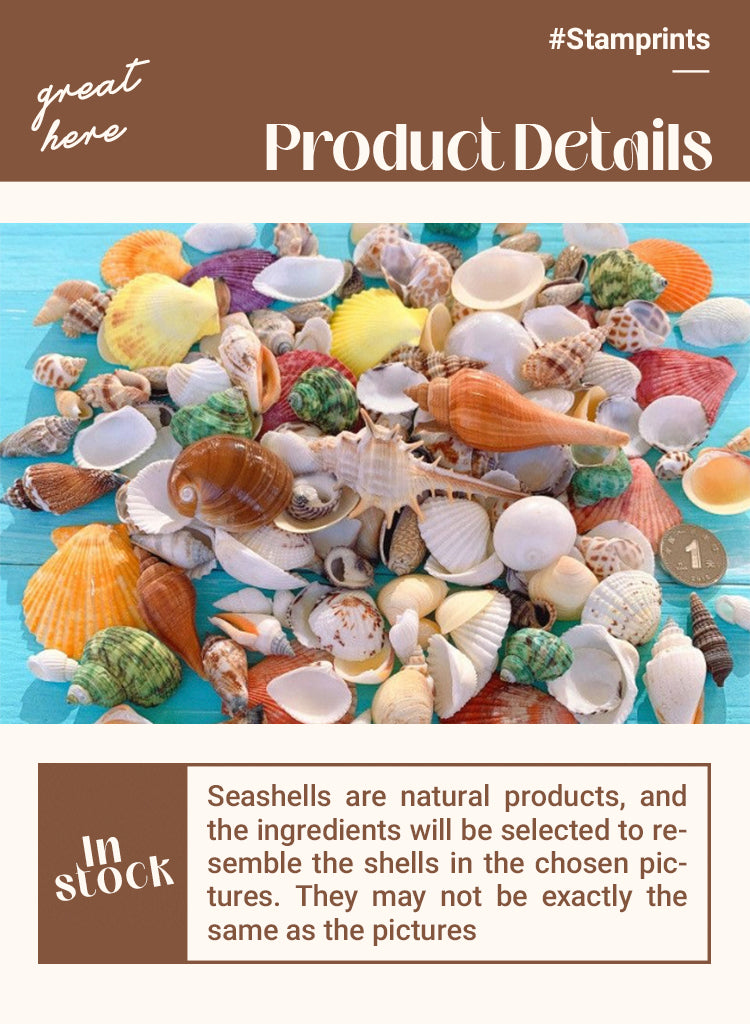 3DIY Shell Beach Sand Painting Art Kit1