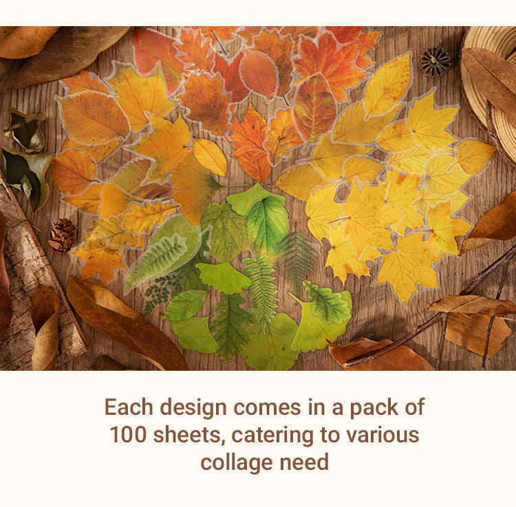 3Seasons of Leaves PET Decorative Stickers3