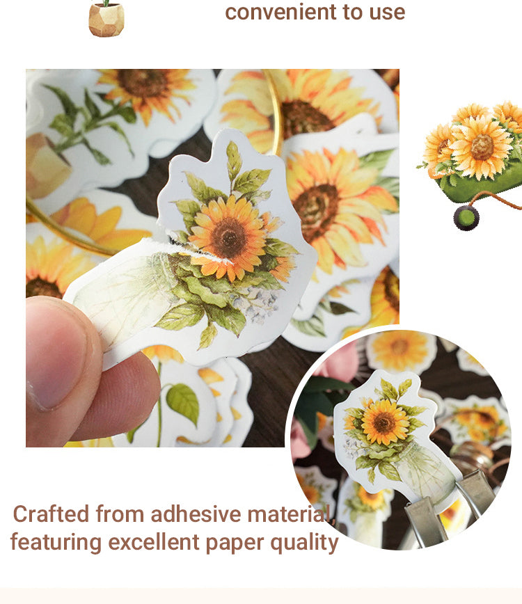 3Sunflower Boxed Stickers2