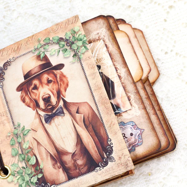 Gentleman Dogs Handmade Specimen Album Booklet Craft Kit Specimen Cards Holder