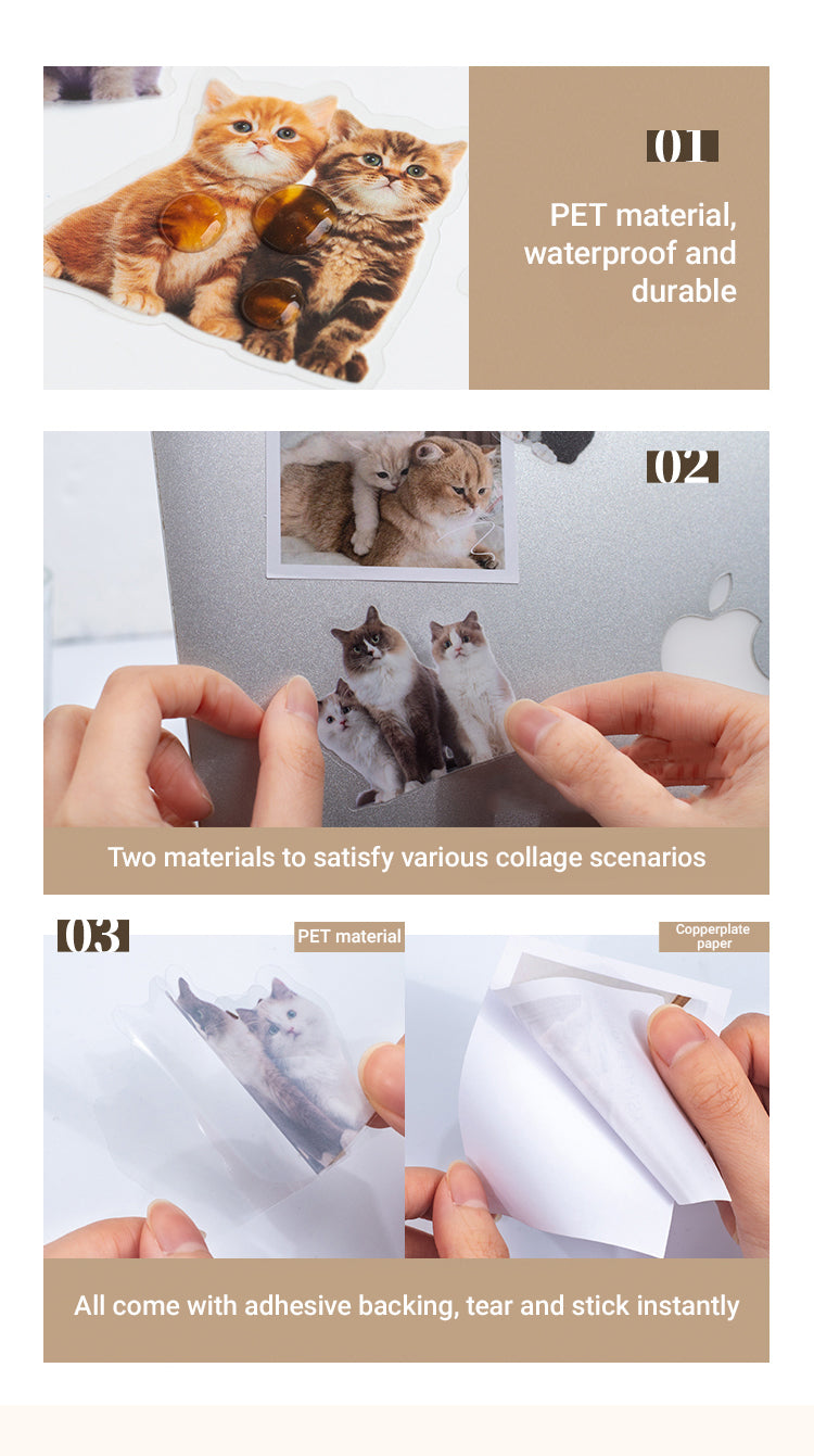 4Capturing Cat Cuteness PET Stickers1