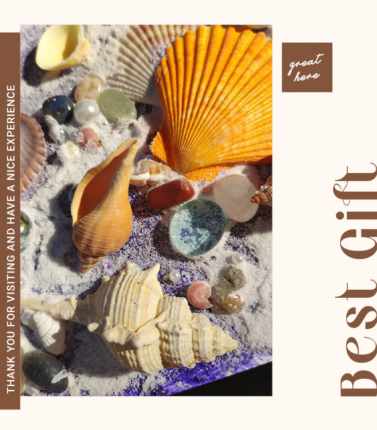 4DIY Shell Beach Sand Painting Art Kit2