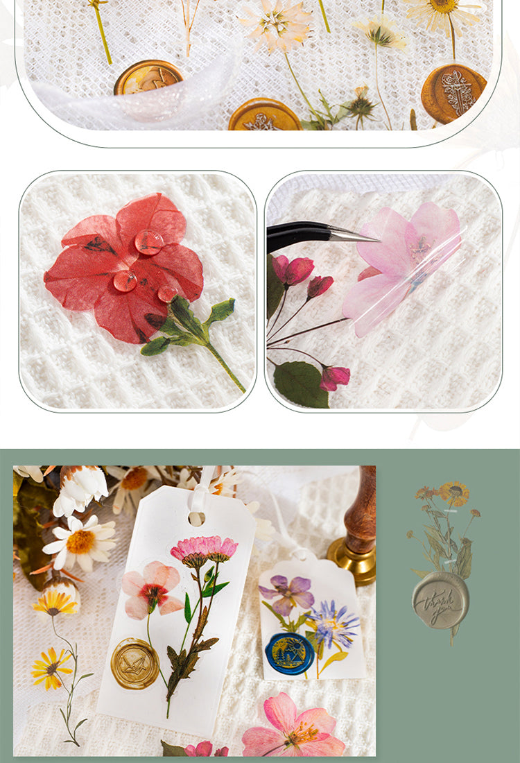4Dried Flower Collection Wax Seal Flower Plant Sticker Pack2
