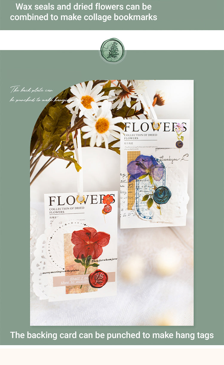 4Dried Flower Collection Wax Seal Flower Plant Sticker Pack3