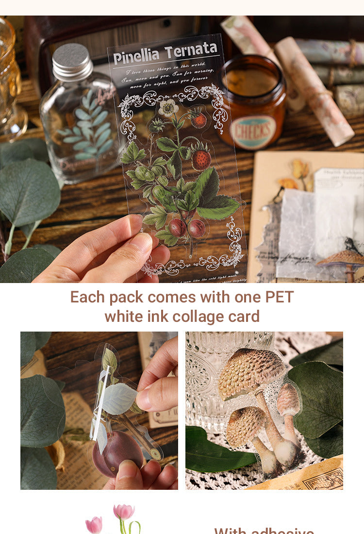4Plant PET Die-cut Stickers - Flower, Fruit, Rose, Tulip, Mushroom, Leaf1