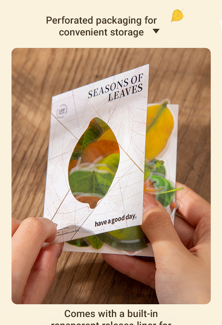 4Seasons of Leaves PET Decorative Stickers2