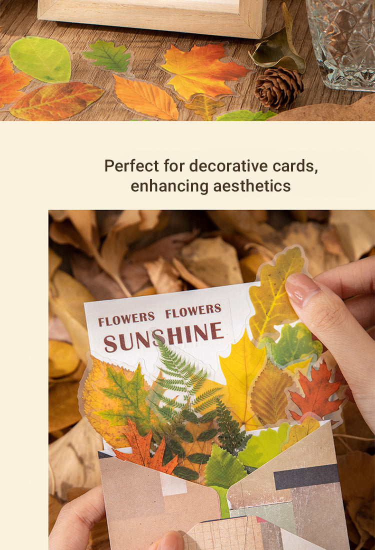 4Seasons of Leaves PET Decorative Stickers5