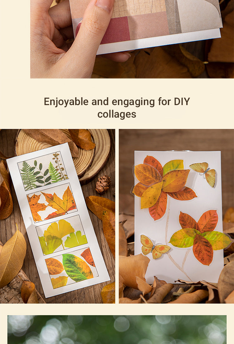 4Seasons of Leaves PET Decorative Stickers6