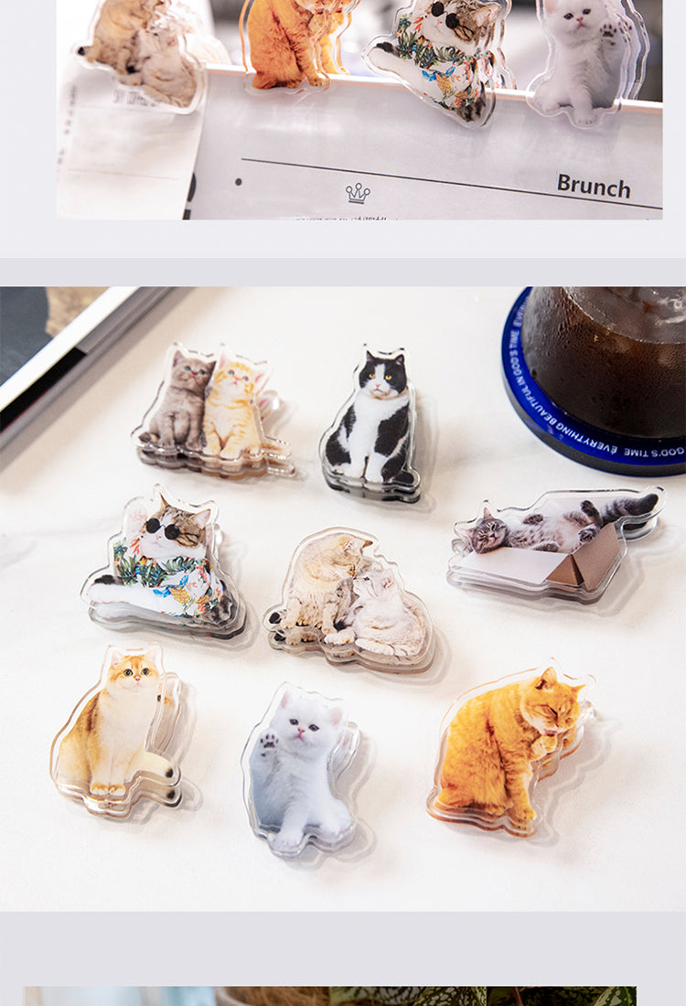 5Adorable Cat Acrylic Clips4