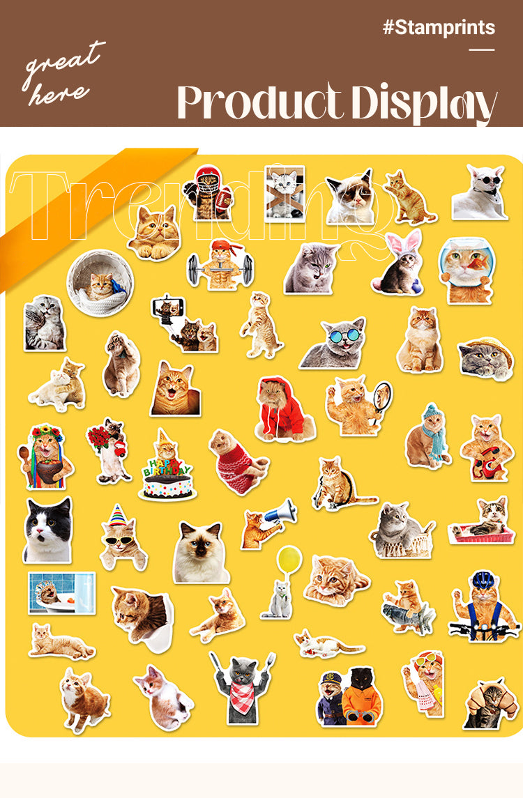 5Adorable Pet Collection Realistic Cat Expression Stickers1