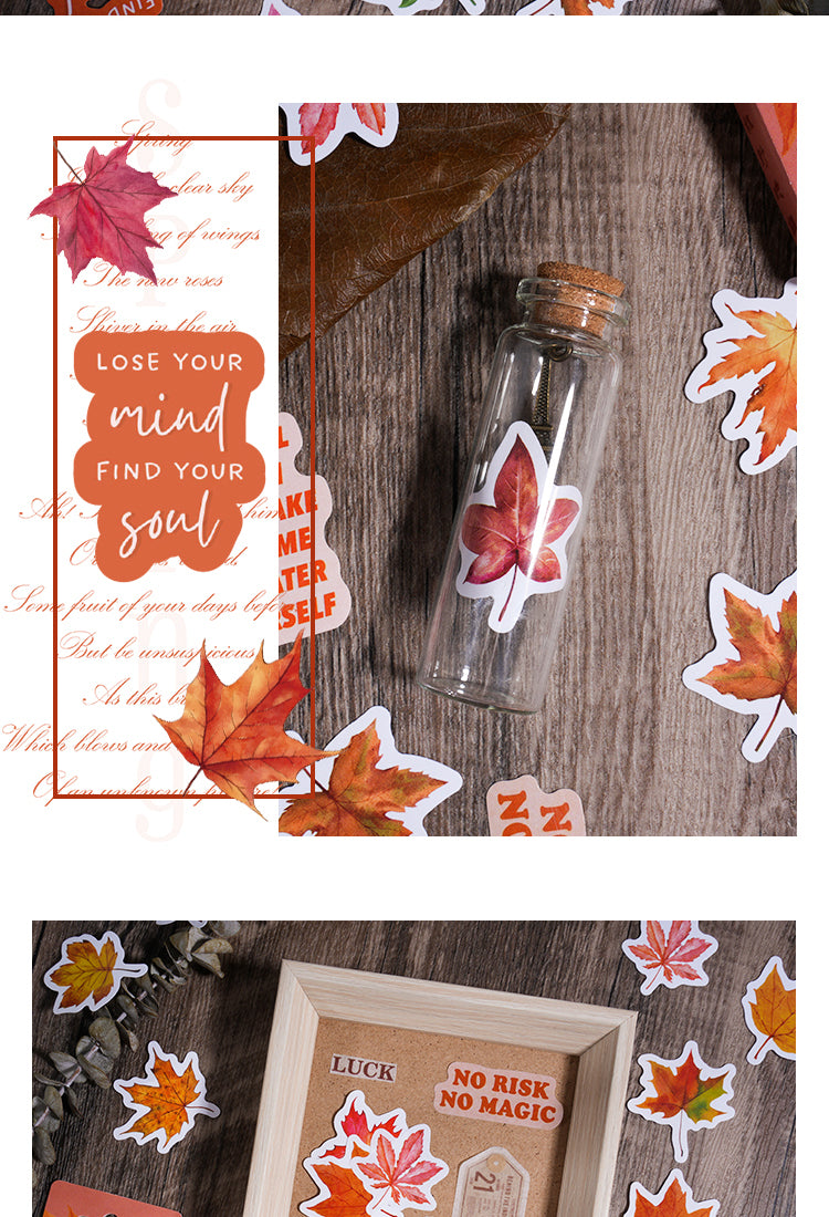 5Autumn Leaf Adhesive Stickers5