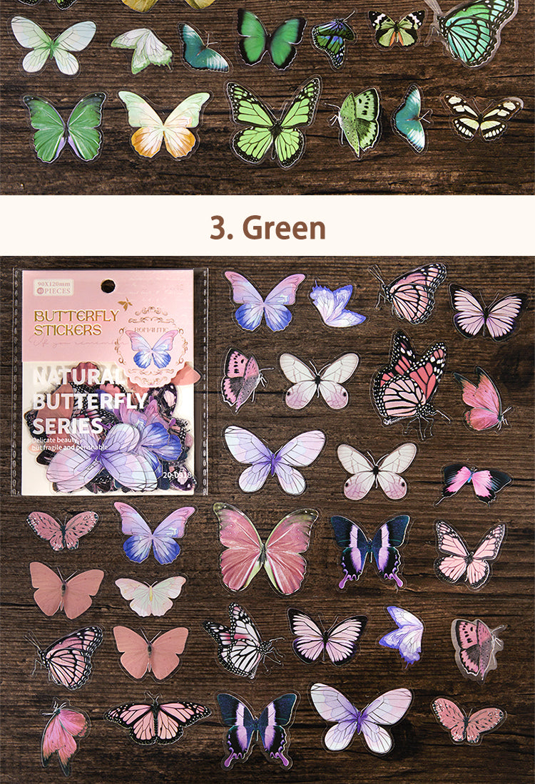 5Butterfly-Themed PET Decorative Sticker10