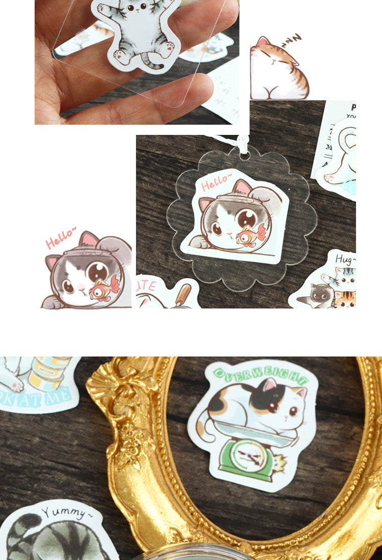 5Cartoon Cat Theme Animal Adhesive Sticker3