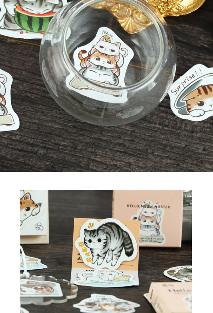 5Cartoon Cat Theme Animal Adhesive Sticker4