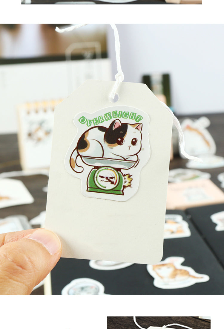 5Cartoon Cat Theme Animal Adhesive Sticker5