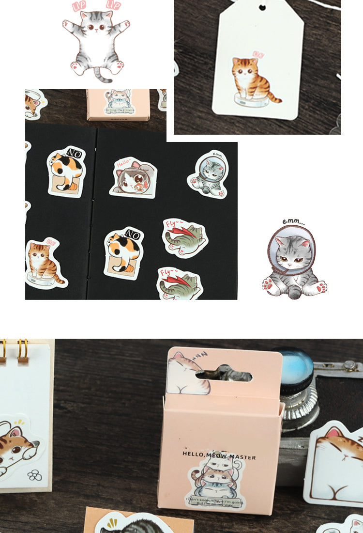5Cartoon Cat Theme Animal Adhesive Sticker6