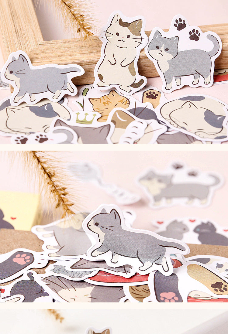 5Cat-themed Cartoon Stickers5