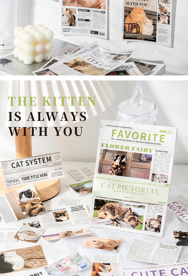5Cat Pictorial Series Cat Sticker Book4