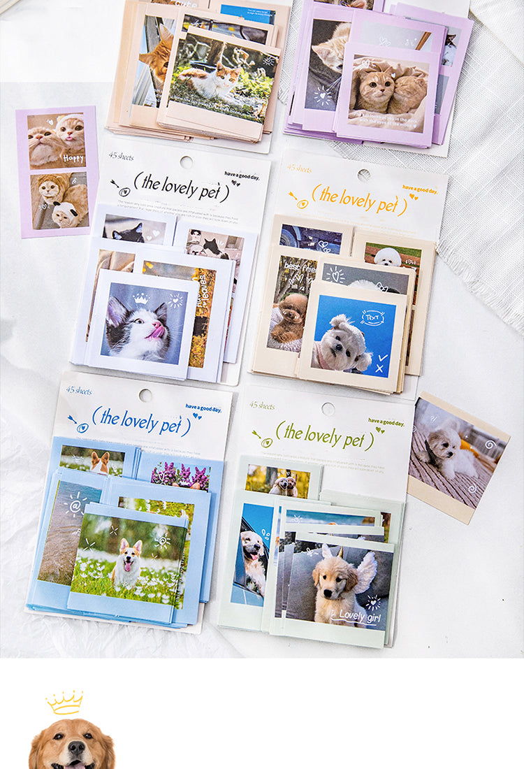 5Cute Pet Photo Stickers - Cats, Dogs2