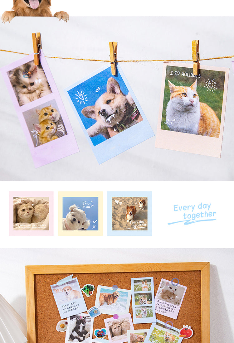 5Cute Pet Photo Stickers - Cats, Dogs3